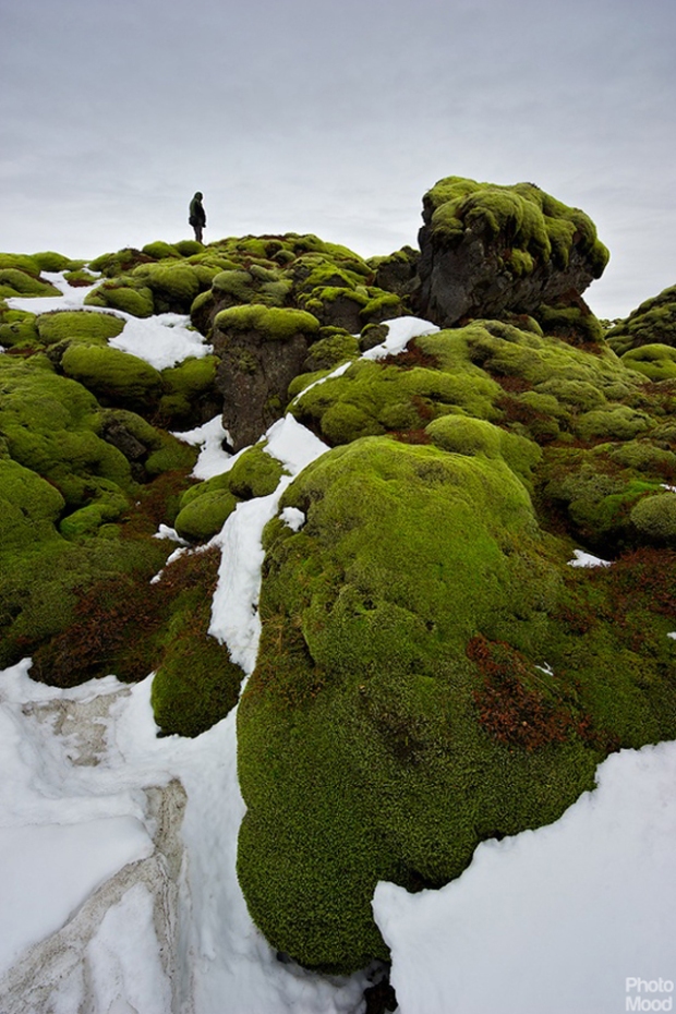 nature_travel_photo_mood_Iceland_green_137_1