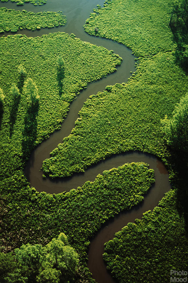 photo_mood-field_landscape-green-Aerial-view-of-a watershed-Christina-River-Basin-Chicahominy-Virginia